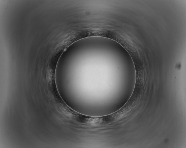 X0000098120135200804041416