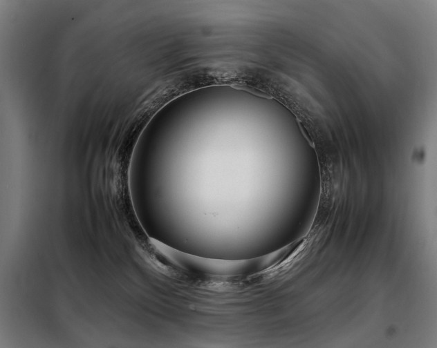 X0000098120136200804041416