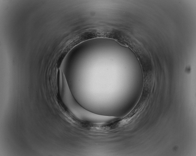 X0000098120137200804041416