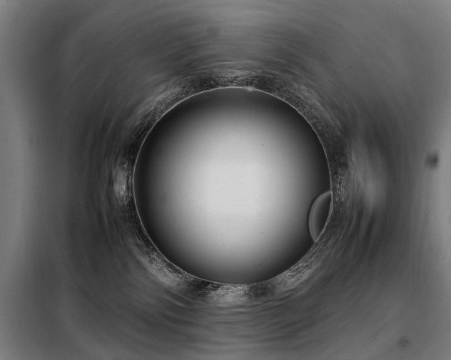 X0000098120138200804041416