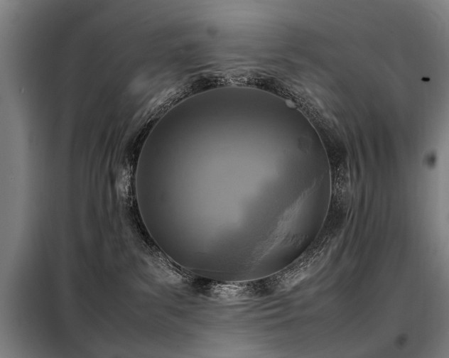 X0000098120139200804041416