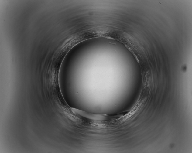 X0000098120140200804041416
