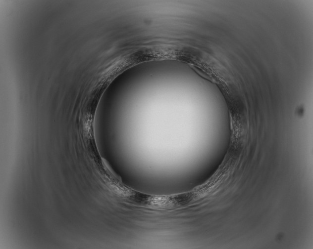 X0000098120141200804041416