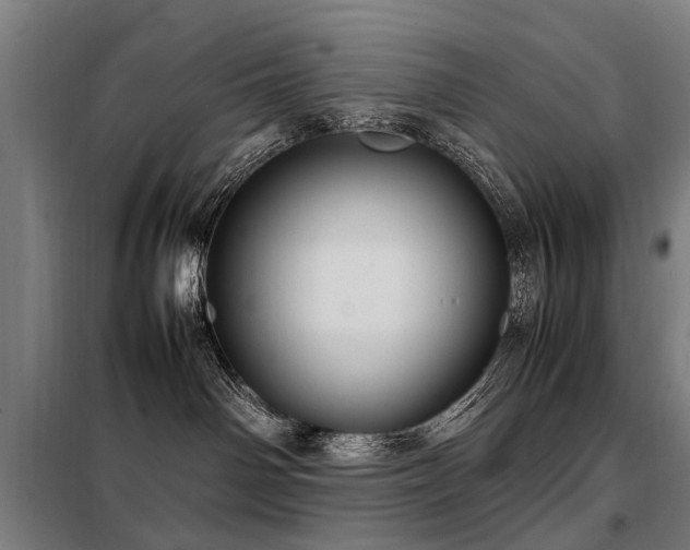 X0000098120142200804041416