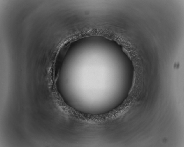 X0000098120144200804041416