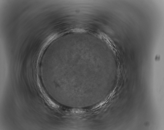 X0000098120145200804041416