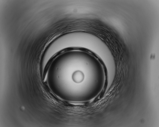X0000098120146200804041416
