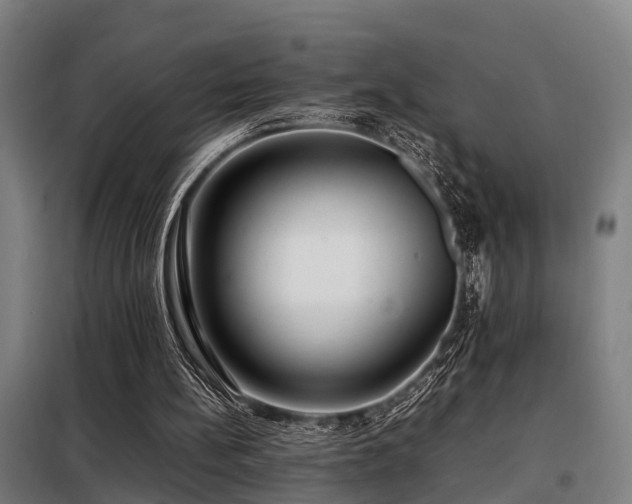 X0000098120148200804041416