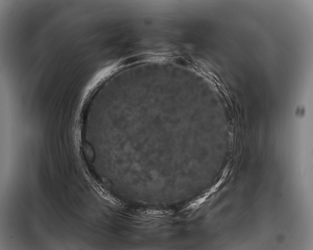 X0000098120149200804041416