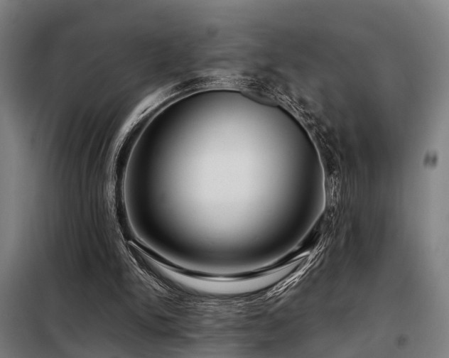 X0000098120150200804041416