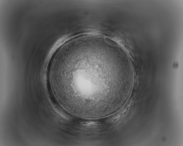 X0000098120151200804041416