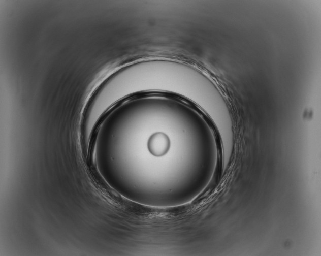 X0000098120152200804041416