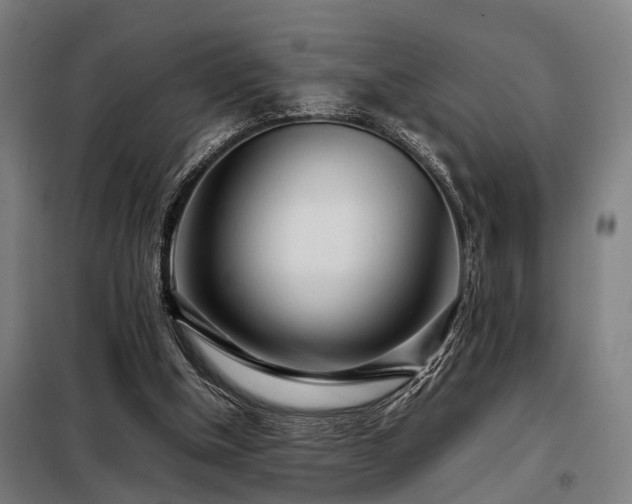 X0000098120154200804041416