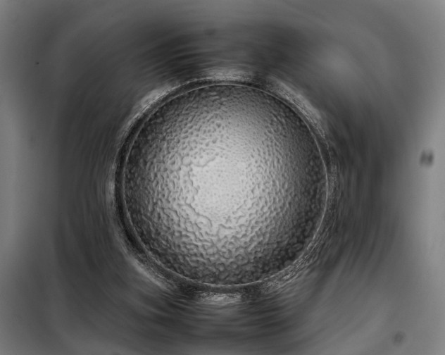X0000098120155200804041416