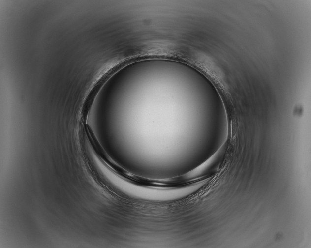 X0000098120156200804041416