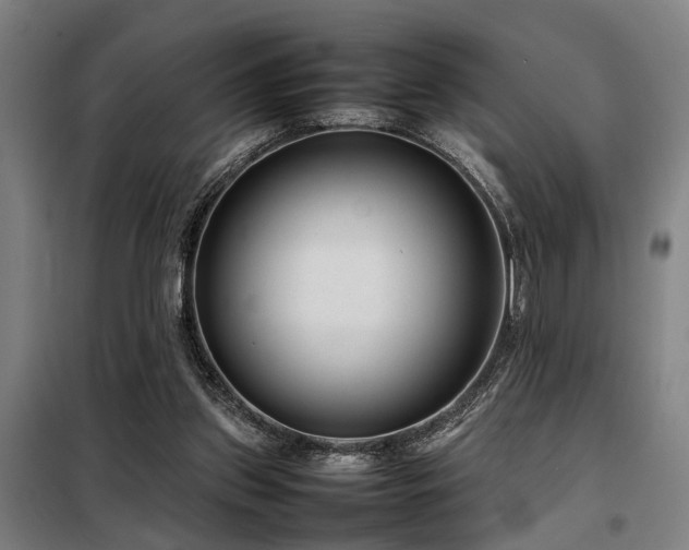 X0000098120157200804041416