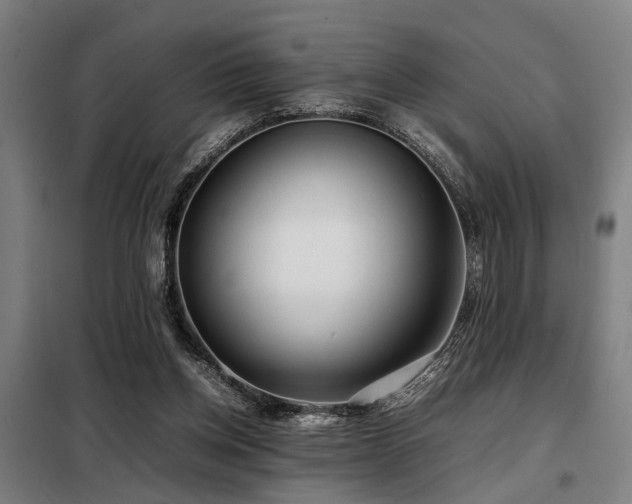 X0000098120158200804041416