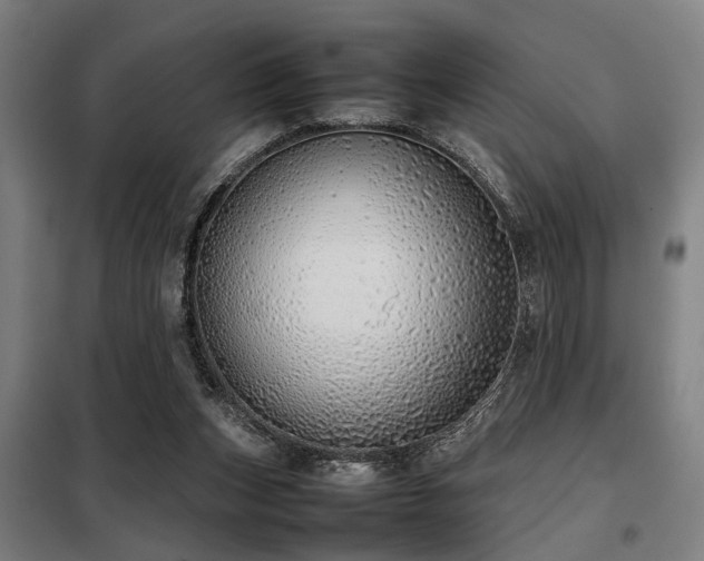 X0000098120159200804041416