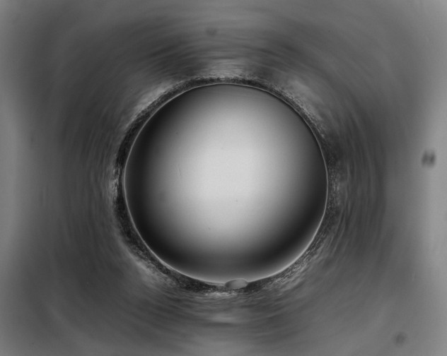 X0000098120160200804041416