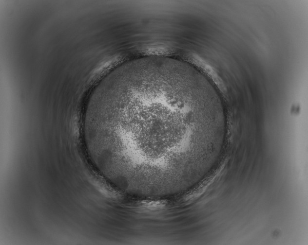 X0000098120161200804041416