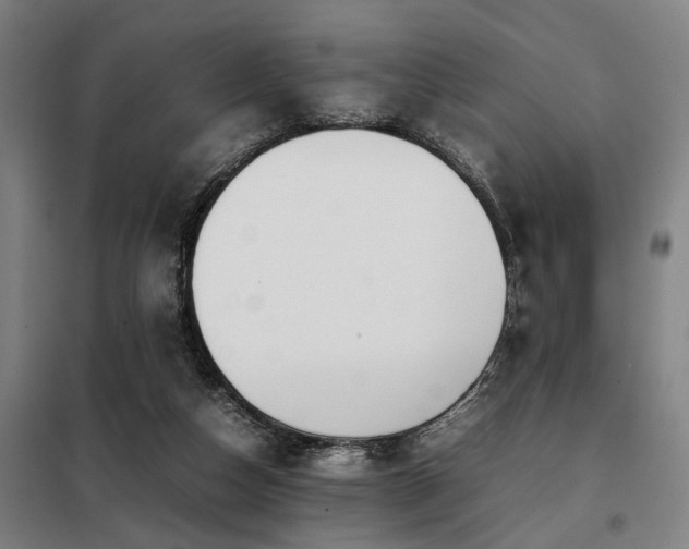 X0000098120162200804041416