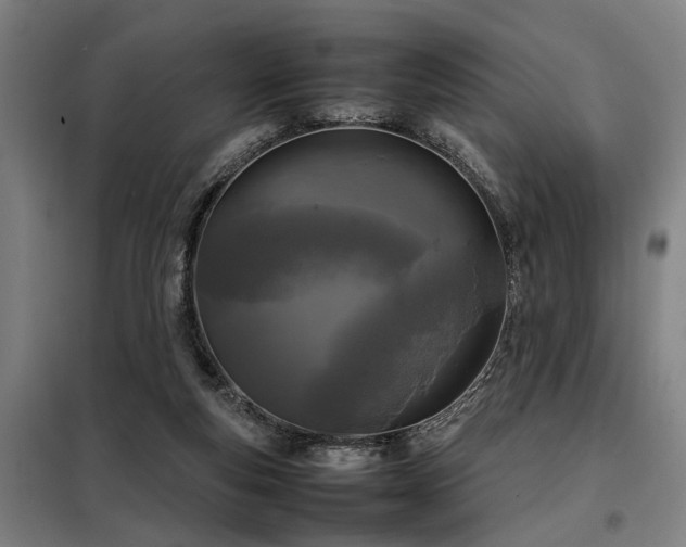 X0000098120163200804041416