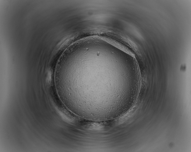 X0000098120166200804041416