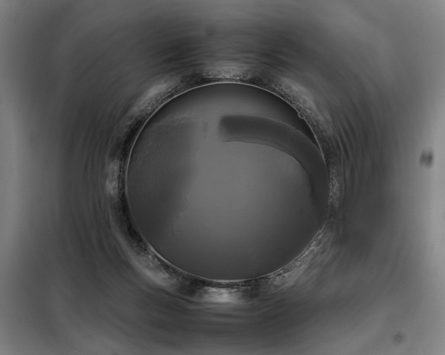 X0000098120167200804041416