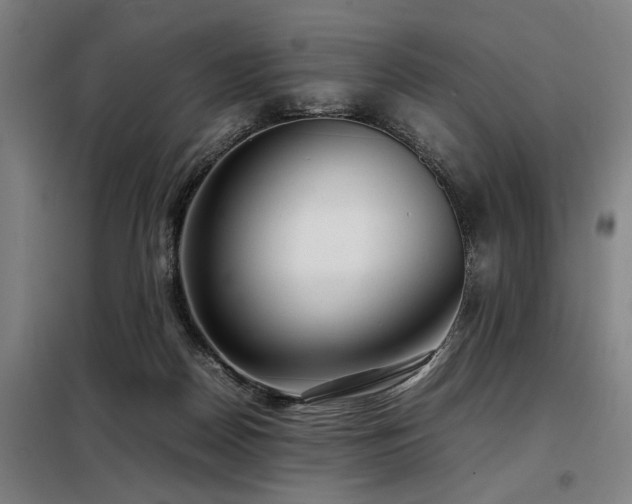 X0000098120170200804041416