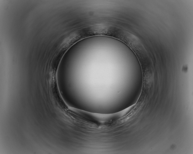 X0000098120172200804041416