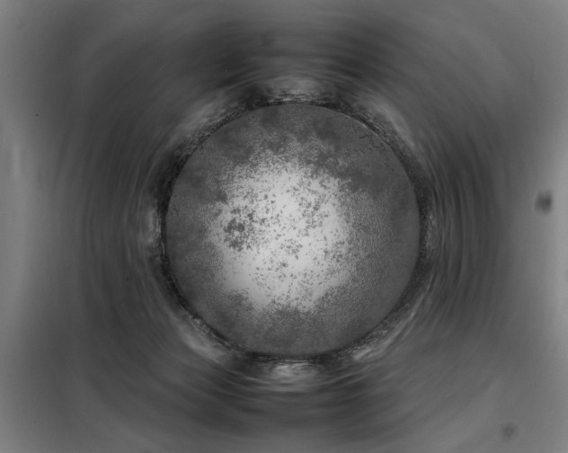 X0000098120173200804041416