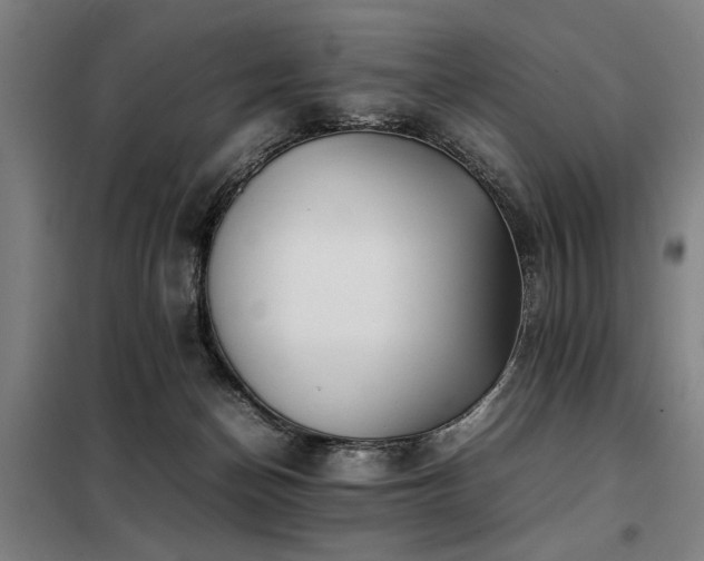 X0000098120174200804041416
