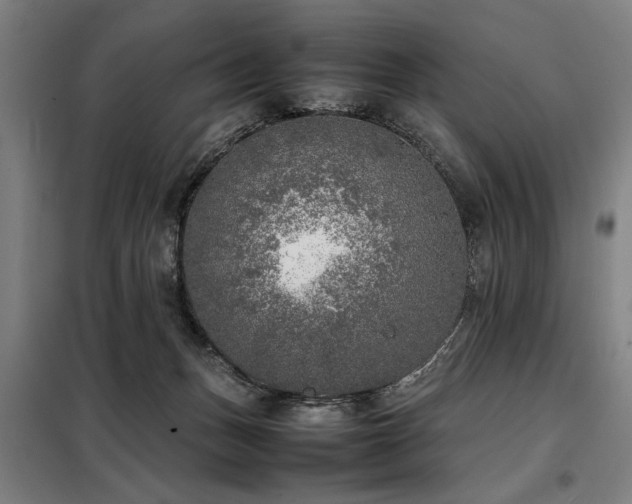 X0000098120175200804041416