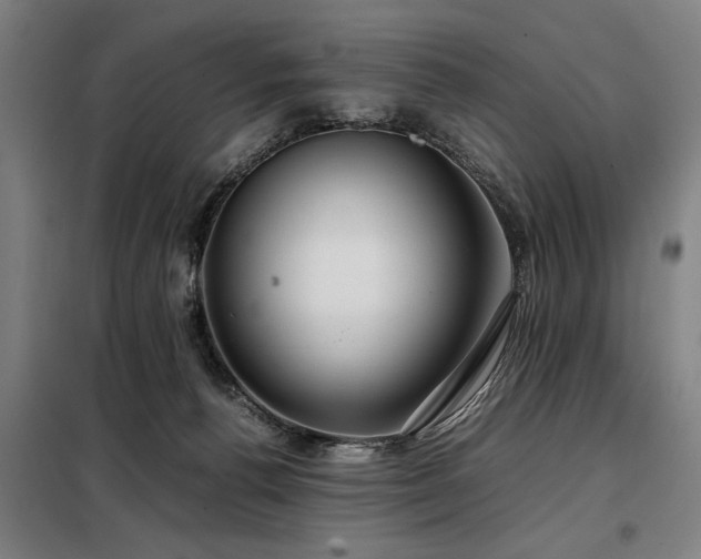 X0000098120176200804041416