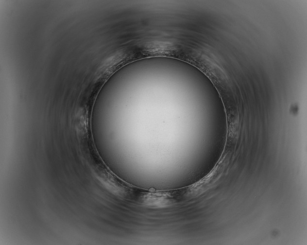 X0000098120179200804041416