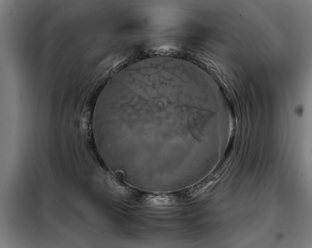 X0000098120181200804041416