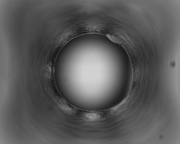X0000098120183200804041416