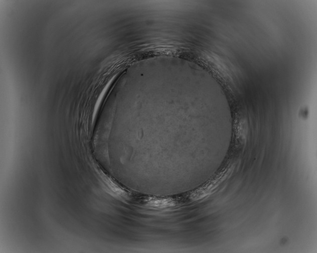 X0000098120185200804041416