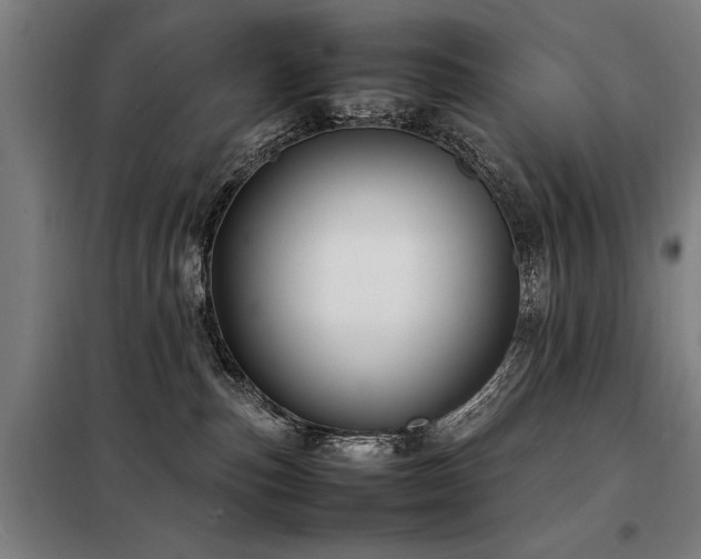 X0000098120187200804041416