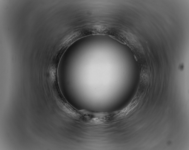 X0000098120188200804041416
