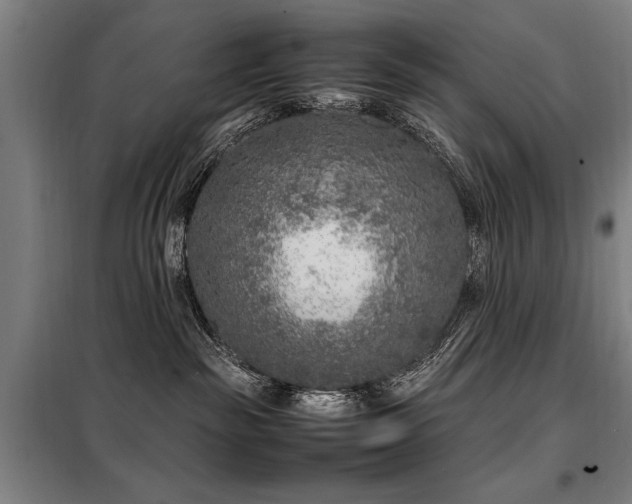 X0000098120189200804041416