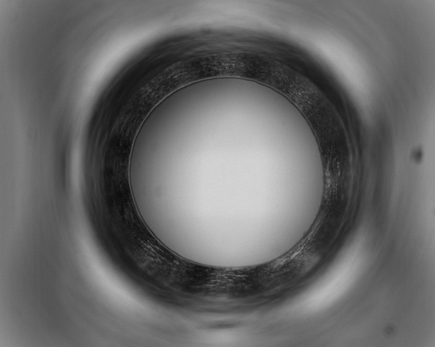 X0000098120190200804041416