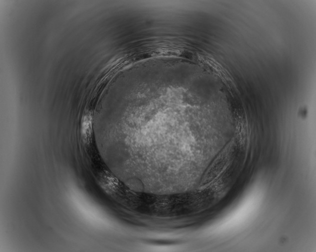 X0000098120191200804041416