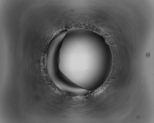 X0000098120192200804041416