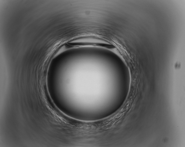 X0000098120193200804041416