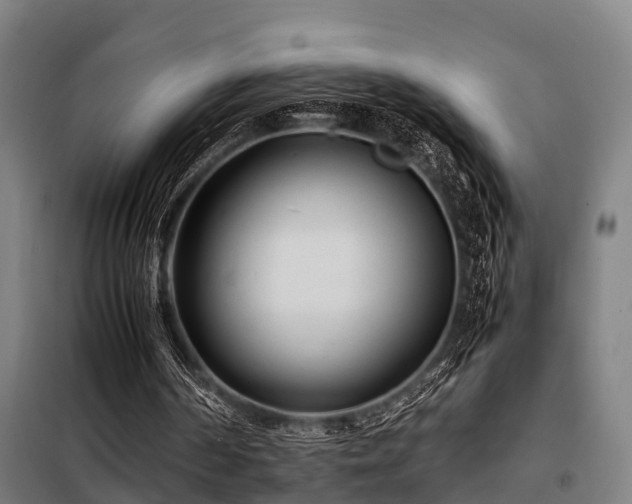 X0000098120194200804041416