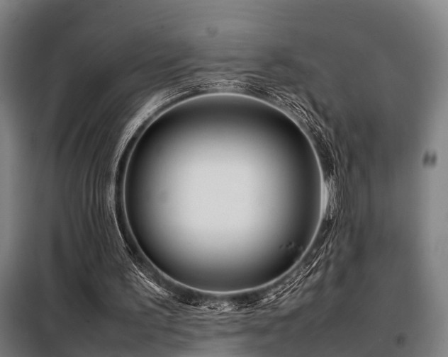 X0000098120195200804041415