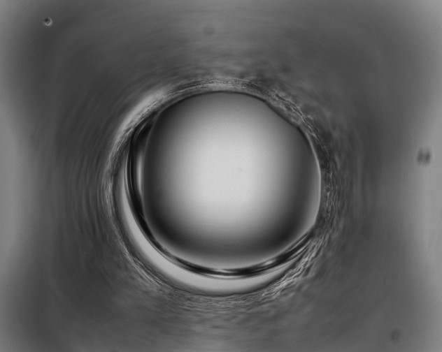 X0000098120197200804041415