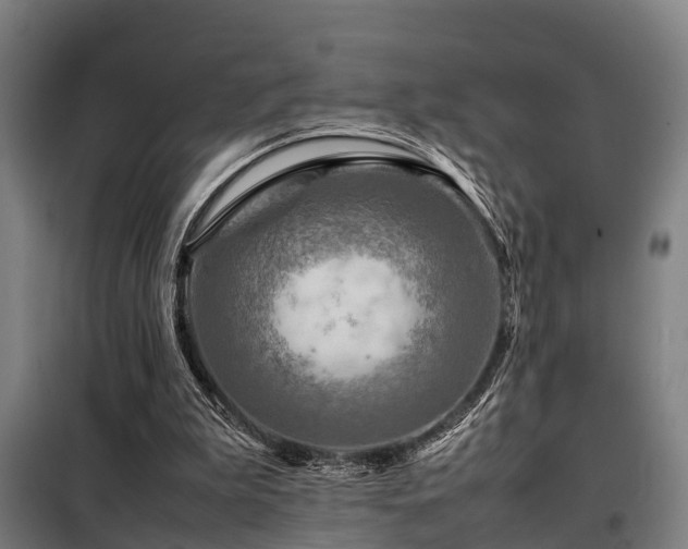 X0000098120199200804041415