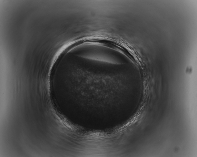 X0000098120200200804041415
